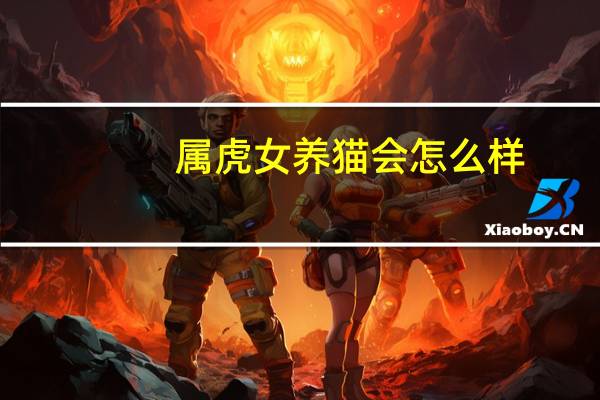 属虎女养猫会怎么样