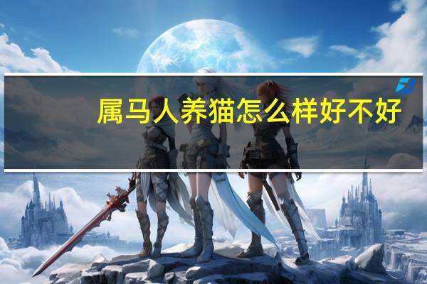 属马人养猫怎么样好不好