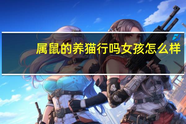 属鼠的养猫行吗女孩怎么样