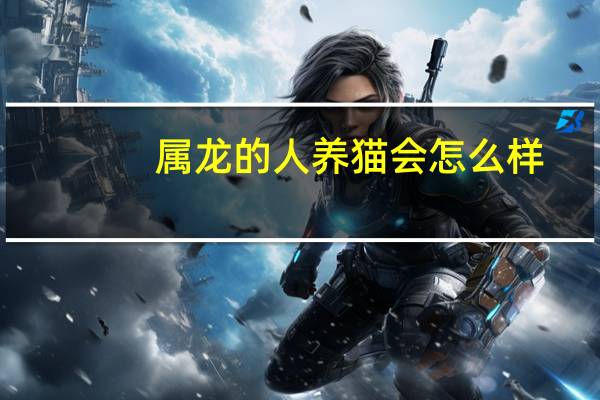 属龙的人养猫会怎么样