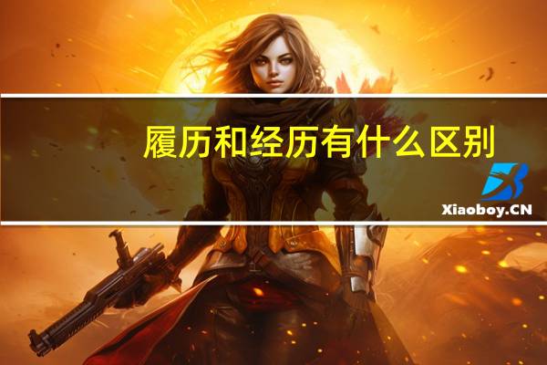 履历和经历有什么区别