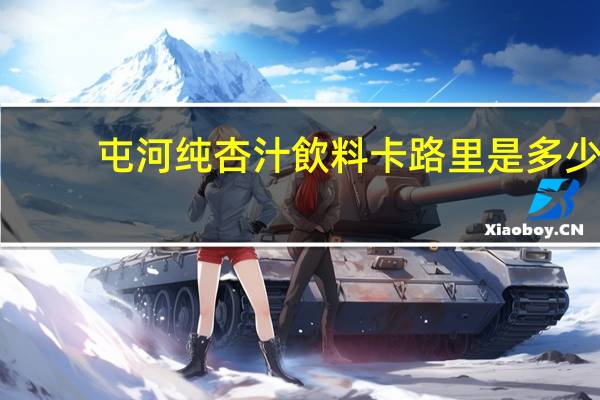屯河 纯杏汁飲料卡路里是多少