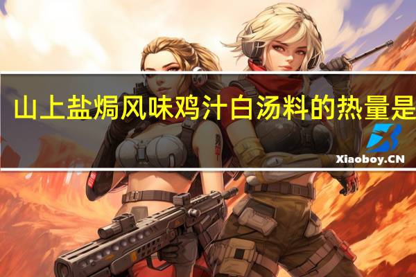 山上 盐焗风味鸡汁白汤料的热量是多少