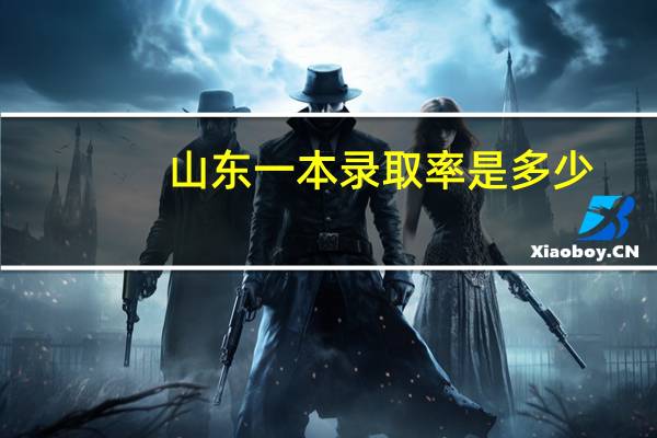 山东一本录取率是多少