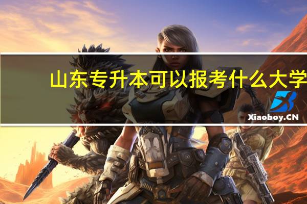 山东专升本可以报考什么大学
