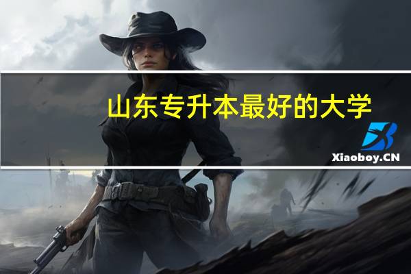 山东专升本最好的大学