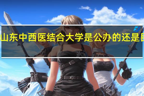 山东中西医结合大学是公办的还是民办的