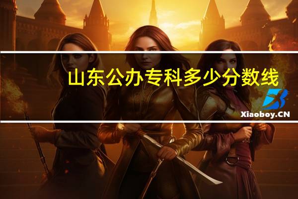 山东公办专科多少分数线
