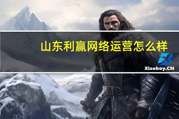山东利赢网络运营怎么样