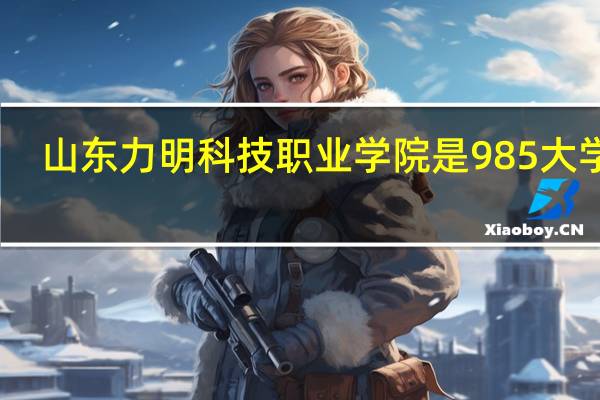 山东力明科技职业学院是985大学吗