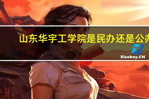 山东华宇工学院是民办还是公办