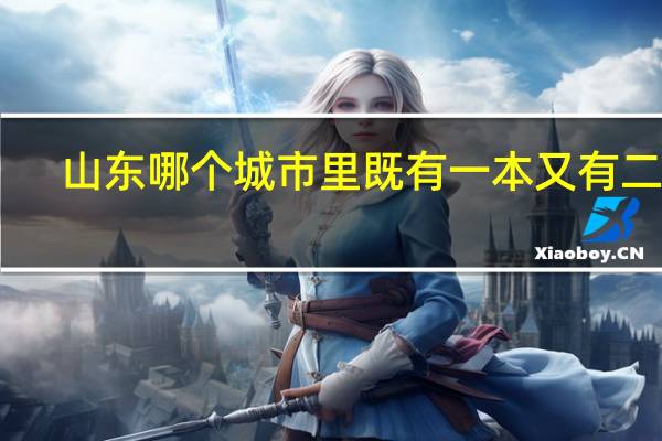 山东哪个城市里既有一本又有二本