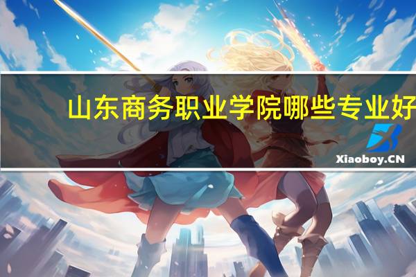 山东商务职业学院哪些专业好