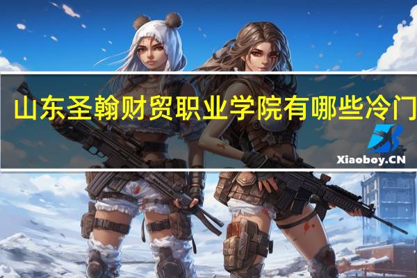 山东圣翰财贸职业学院有哪些冷门专业