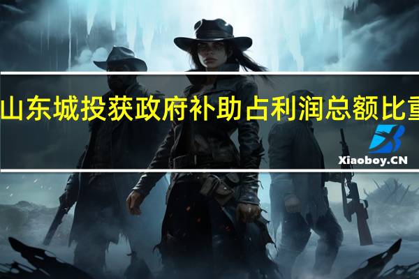 山东城投获政府补助占利润总额比重较高