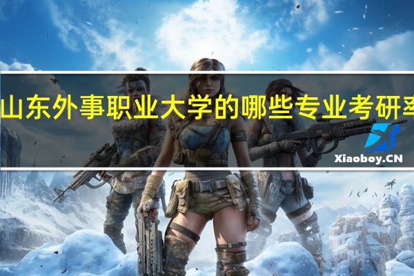 山东外事职业大学的哪些专业考研率很高