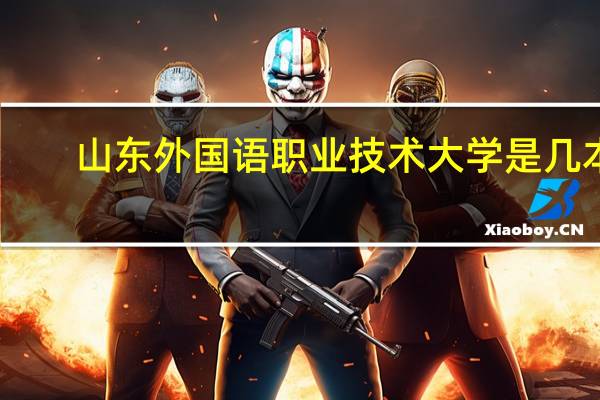 山东外国语职业技术大学是几本