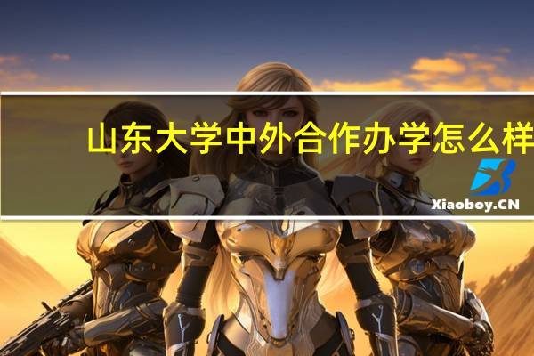 山东大学中外合作办学怎么样
