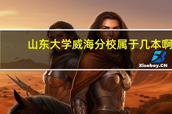 山东大学威海分校属于几本啊