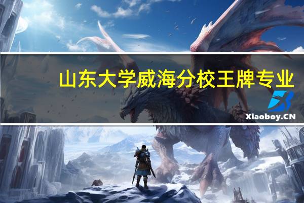 山东大学威海分校王牌专业