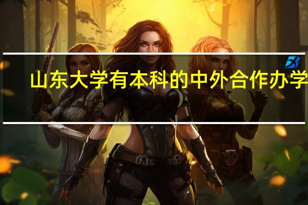 山东大学有本科的中外合作办学吗
