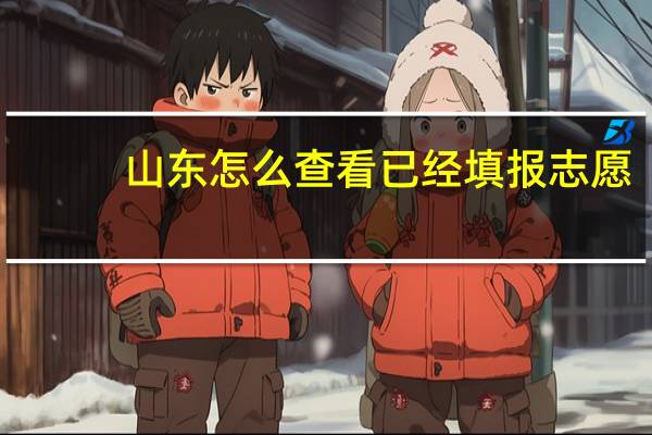 山东怎么查看已经填报志愿
