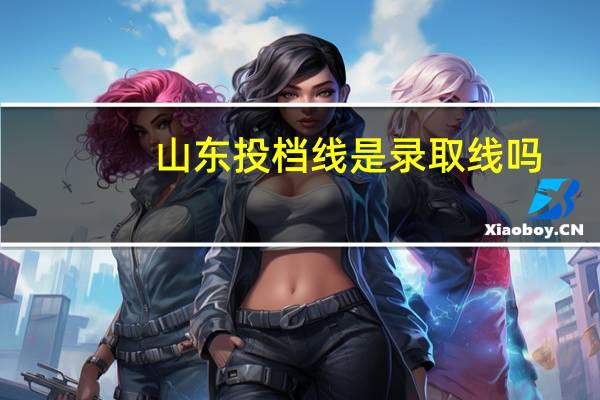 山东投档线是录取线吗