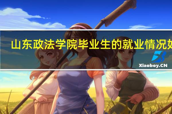山东政法学院毕业生的就业情况如何