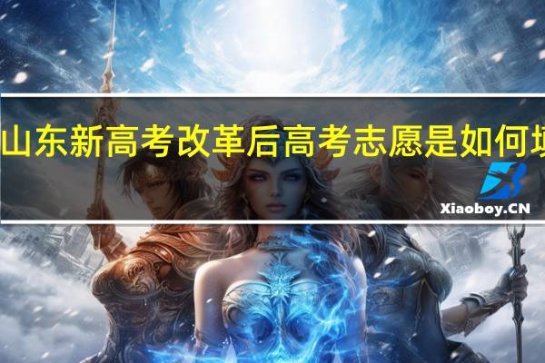 山东新高考改革后高考志愿是如何填报的