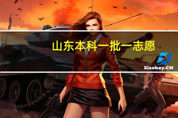 山东本科一批一志愿