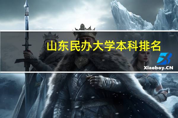 山东民办大学本科排名