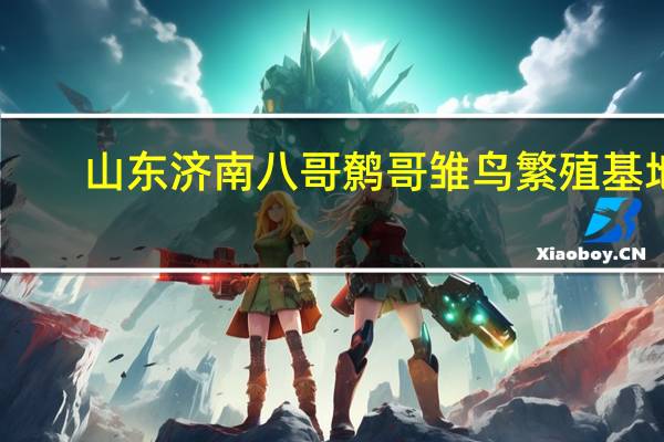山东济南八哥鹩哥雏鸟繁殖基地（鹩哥雏鸟多少钱区域不一样价格也不一样）