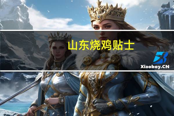 山东烧鸡贴士