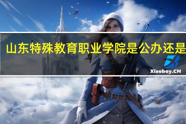 山东特殊教育职业学院是公办还是民办