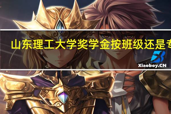 山东理工大学奖学金按班级还是专业
