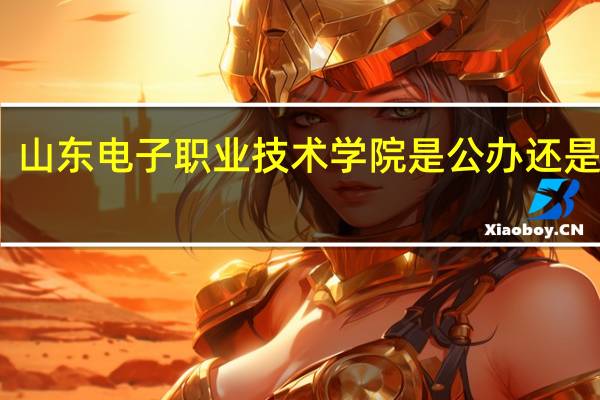 山东电子职业技术学院是公办还是民办
