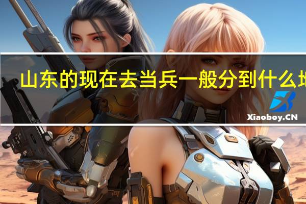 山东的现在去当兵一般分到什么地方