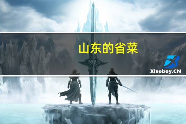 山东的省菜