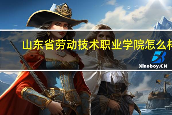 山东省劳动技术职业学院怎么样