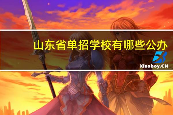 山东省单招学校有哪些公办