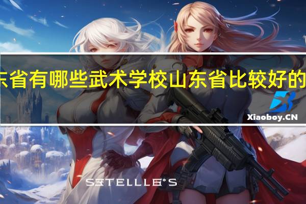 山东省有哪些武术学校 山东省比较好的武术学校