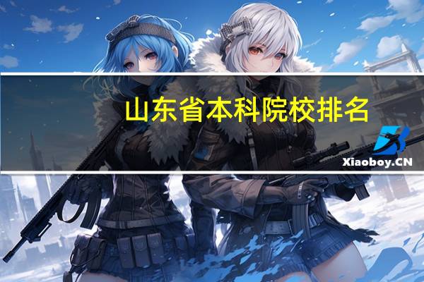 山东省本科院校排名