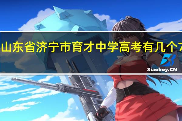 山东省济宁市育才中学高考有几个700分