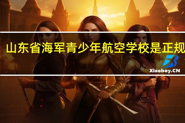 山东省海军青少年航空学校是正规的吗