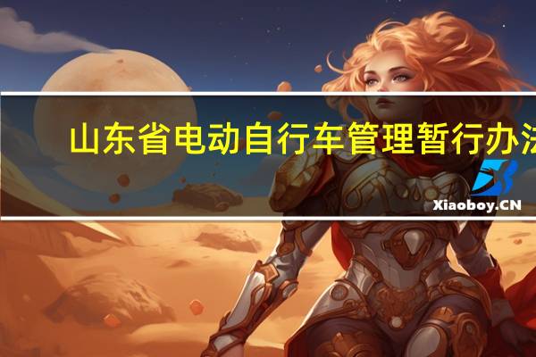 山东省电动自行车管理暂行办法（山东省电动车管理规定）