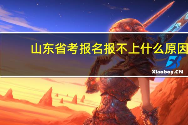 山东省考报名报不上什么原因