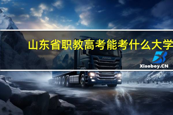 山东省职教高考能考什么大学