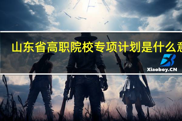 山东省高职院校专项计划是什么意思