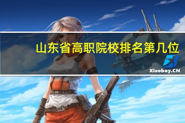 山东省高职院校排名第几位