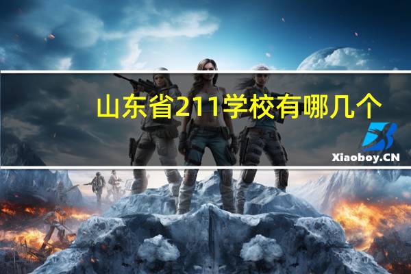 山东省211学校有哪几个